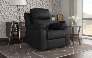 Recliner Dream Recliner