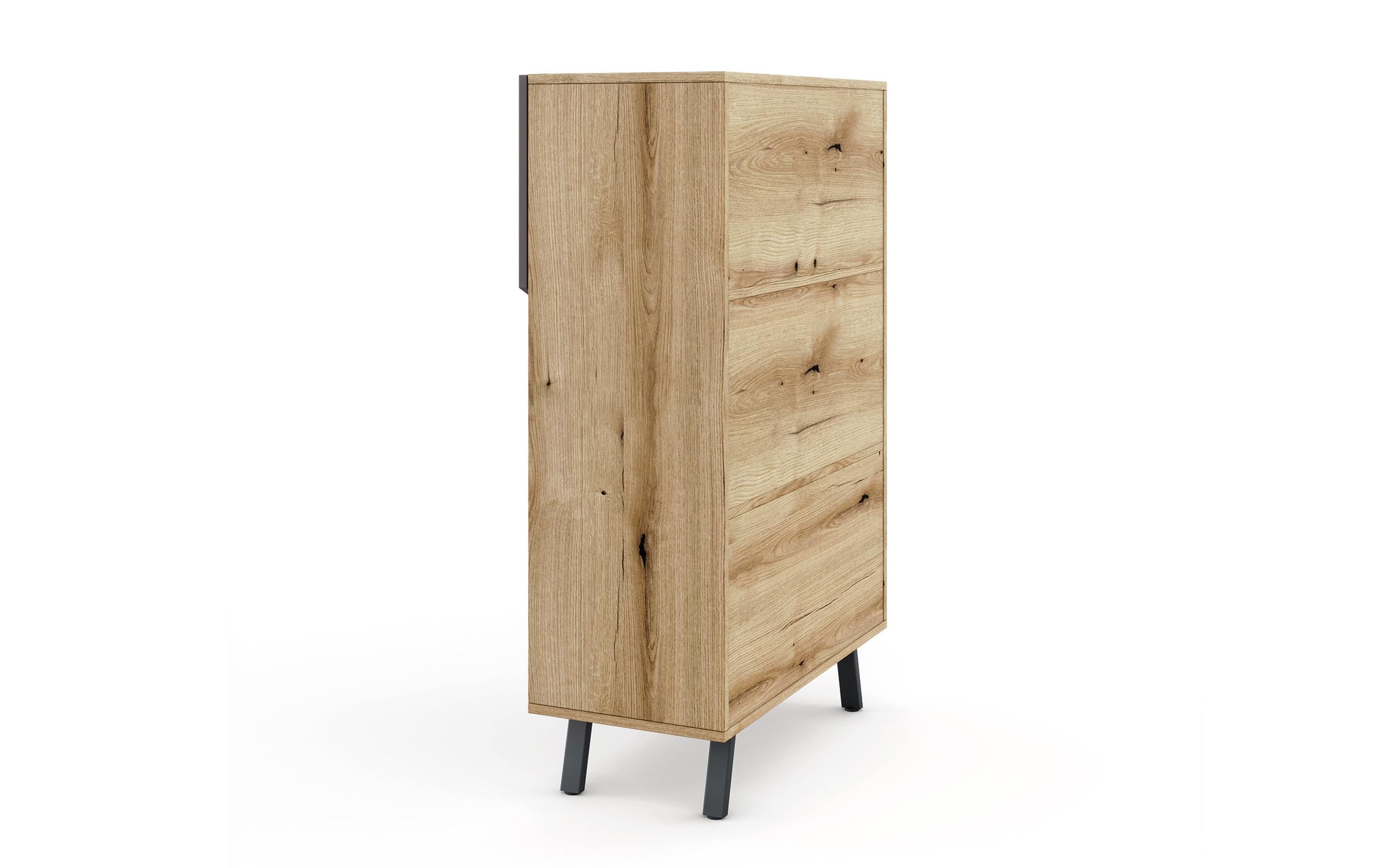 Dulap de birou Tiron, stejar evoc + garfit  3