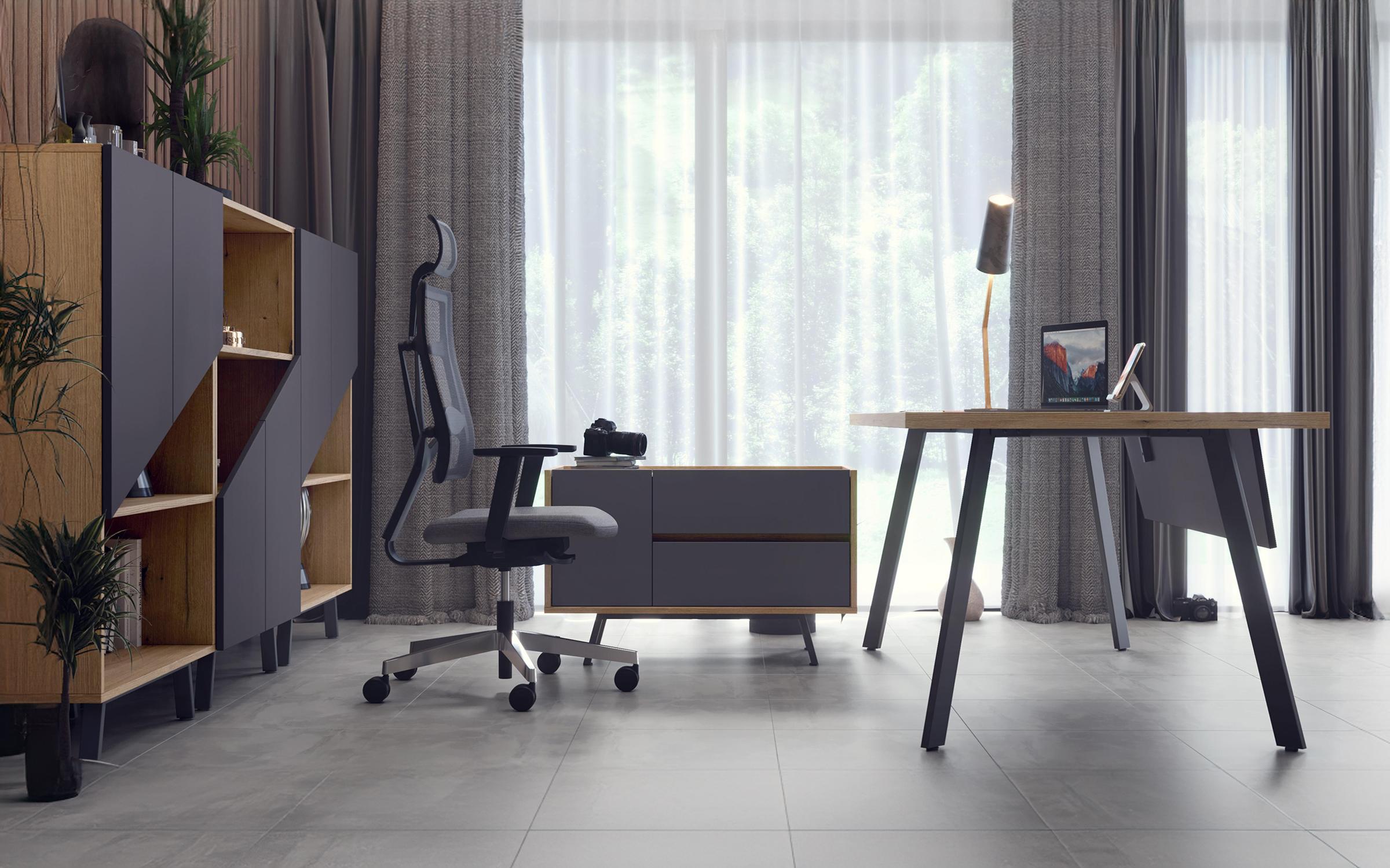 Dulap de birou Tiron, stejar evoc + garfit  6