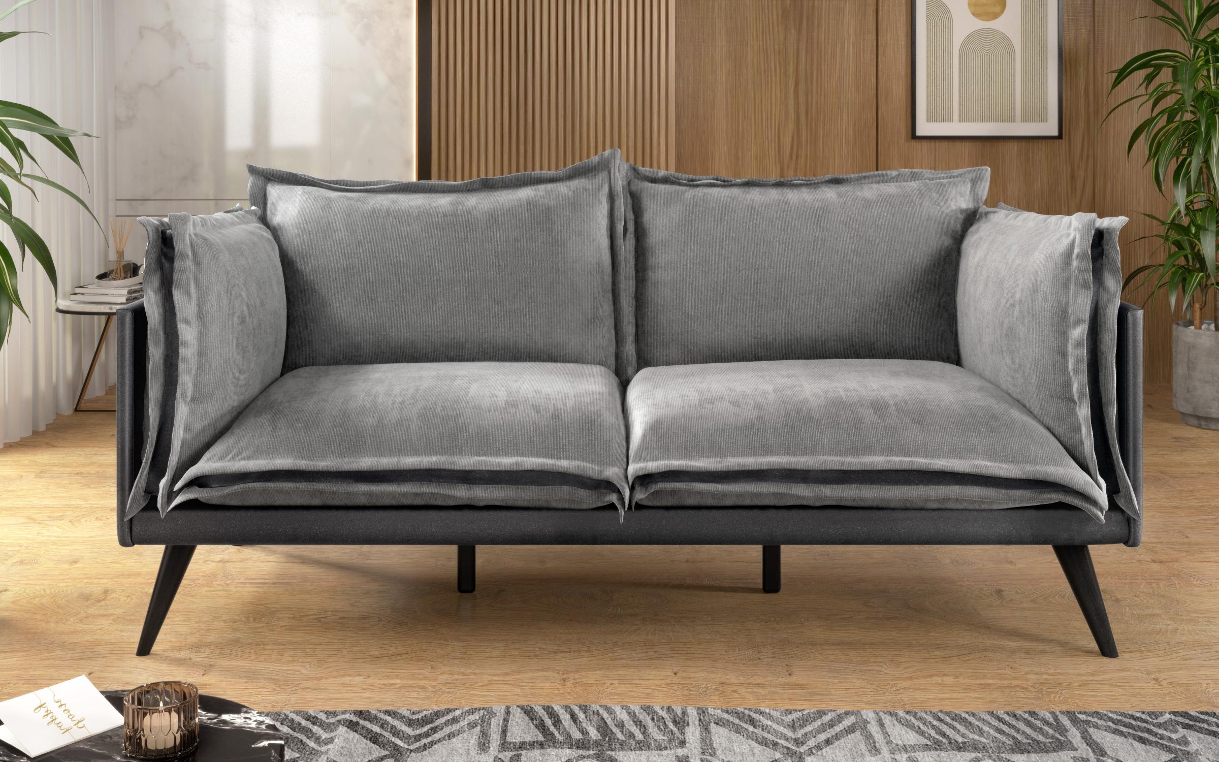 Canapea Dielo, gri  3