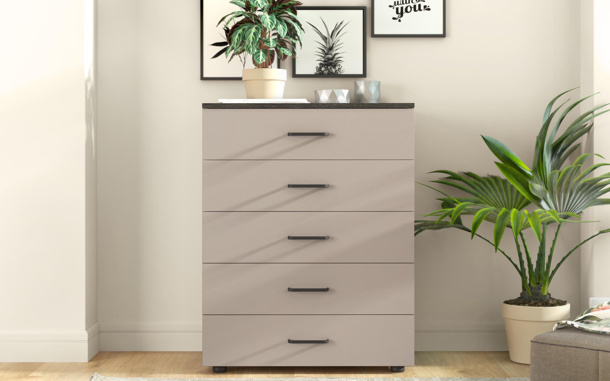 Comoda SR-5, casmir + stejar antracit  3