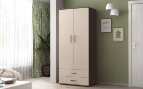 Двухстворчатый шкаф с ящиками Эрон XS thumb